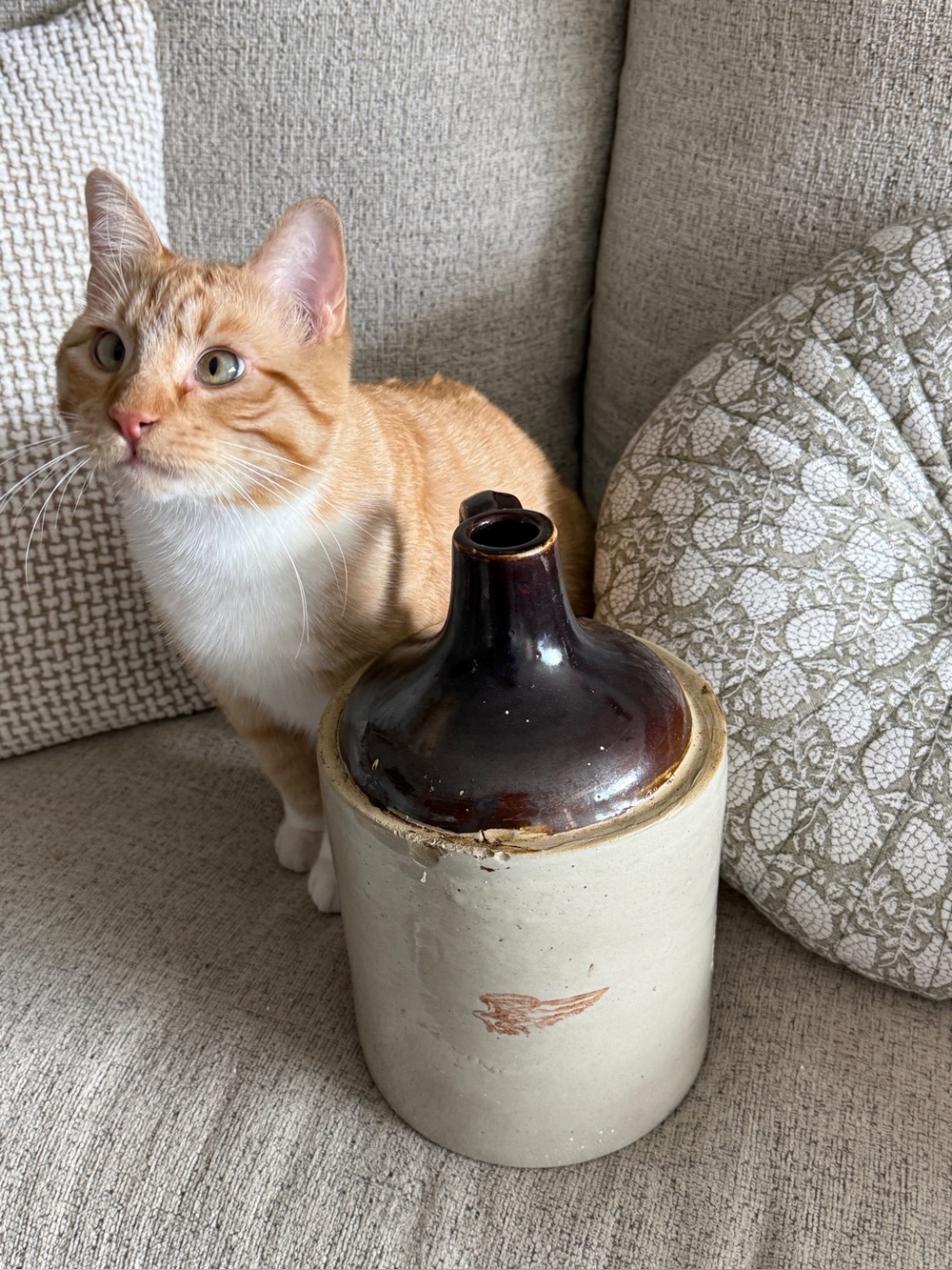 Vintage Red Wing Stoneware Jug